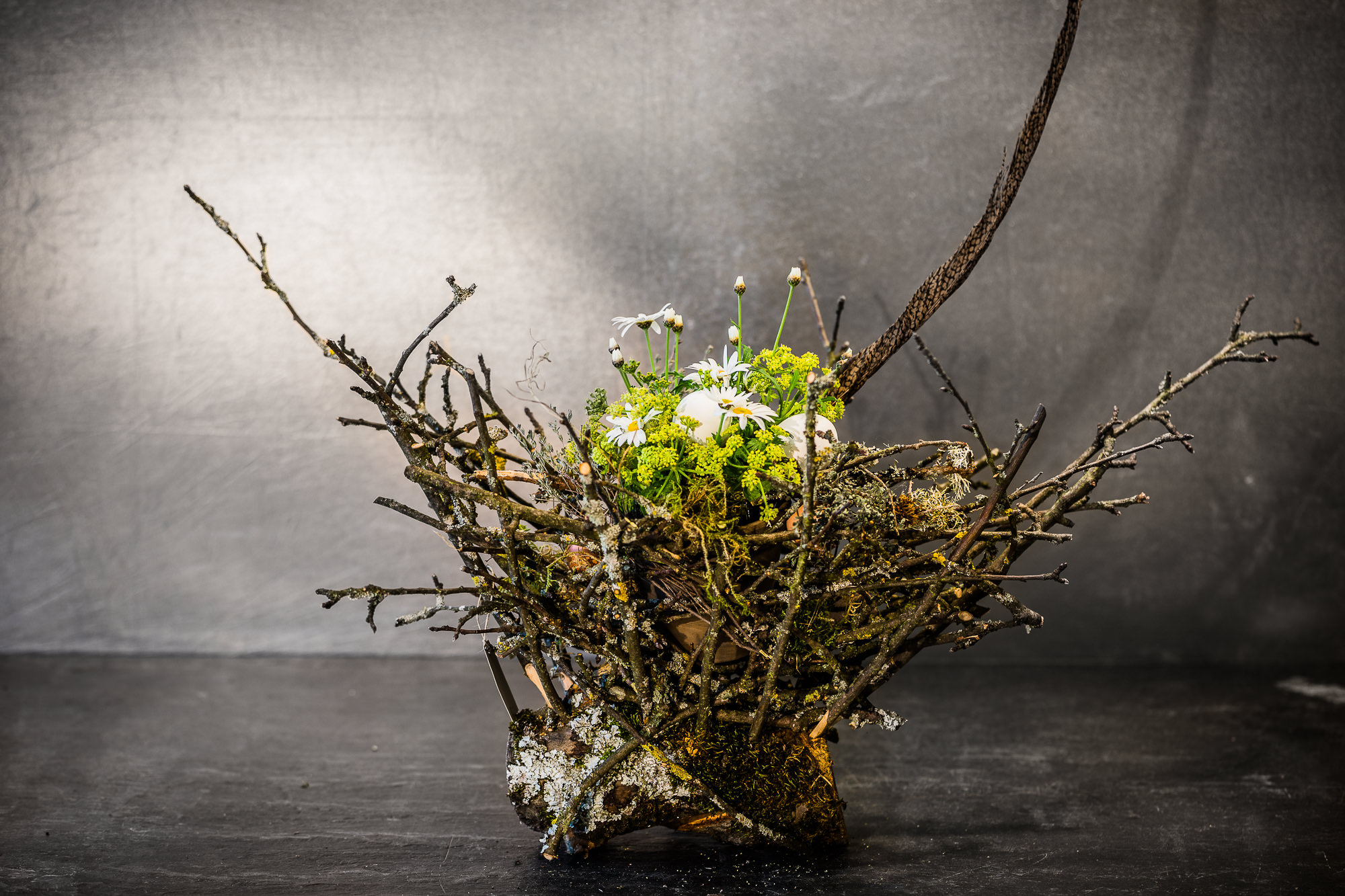 Export x3 5D4 9261 Businessauftrag 2017 Blattform Aarau